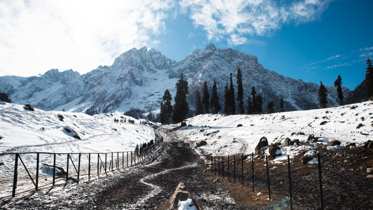 pexels.com / иллюстративное