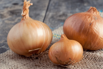 Фотография к новости: Фермеры Алматинской области столкнулись с проблемой реализации лука