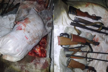 Фотография к новости: 12 косуль застрелили на особо охраняемой территории в Павлодарской области