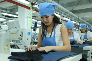 Минтруда зарегистрировало 5,6 млн трудовых договоров