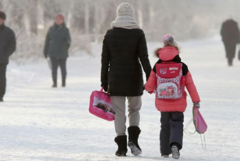 Фотография к новости: Школьников двух регионов перевели на дистанционку