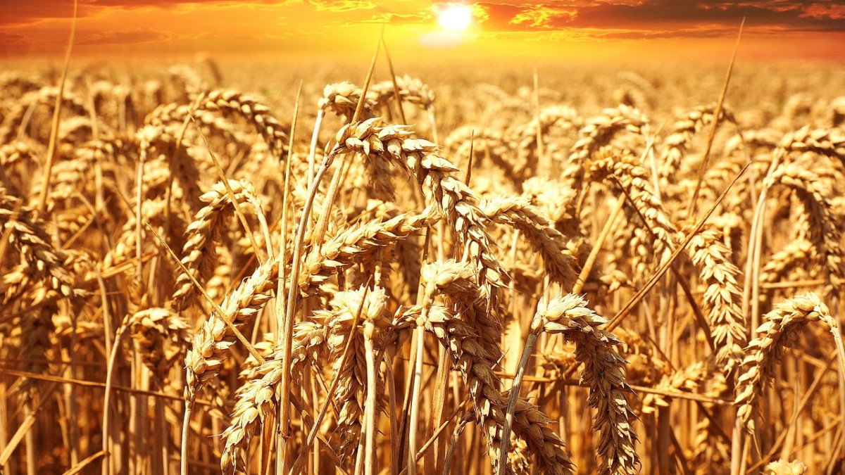 pixabay / иллюстративное фото