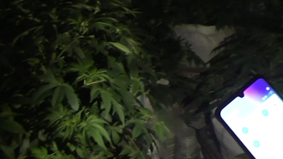 скриншот с видео