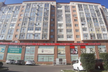 Фотография к новости: Аэропорт Астаны выставил на торги пентхаус