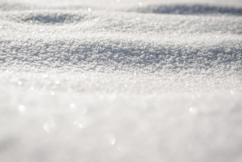 Фотография к новости: В США более 80 человек погибли из-за аномального холода