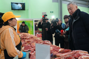 Фотография к новости: Цифровые процессы модуля "Vet Monitoring" апробируют в Павлодаре