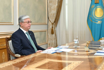 Фотография к новости: Глава государства принял акима Жамбылской области