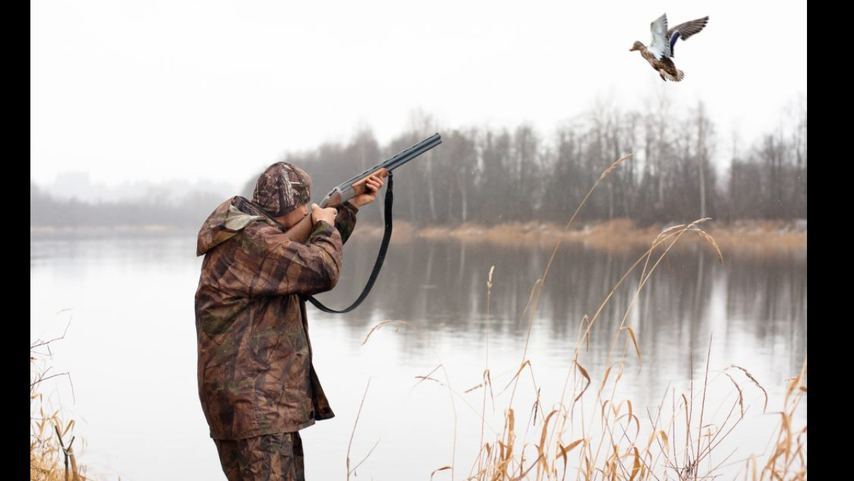 Из открытых источников