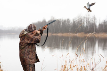 Путевки рыбакам и охотникам будут выдавать по новым правилам
