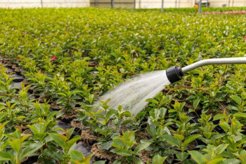 О подготовке к поливному сезону в Туркестанской области рассказали в министерстве