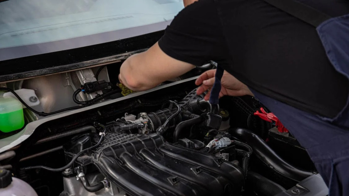 pexels.com / иллюстративное