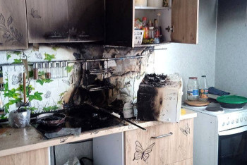 Фотография к новости: Голодные кошки включили индукционную плиту и устроили пожар в квартире