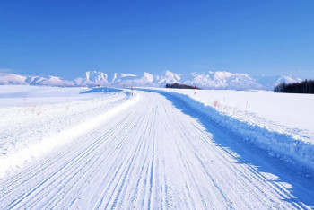 Закрыта часть трассы "Алматы-Ташкент"