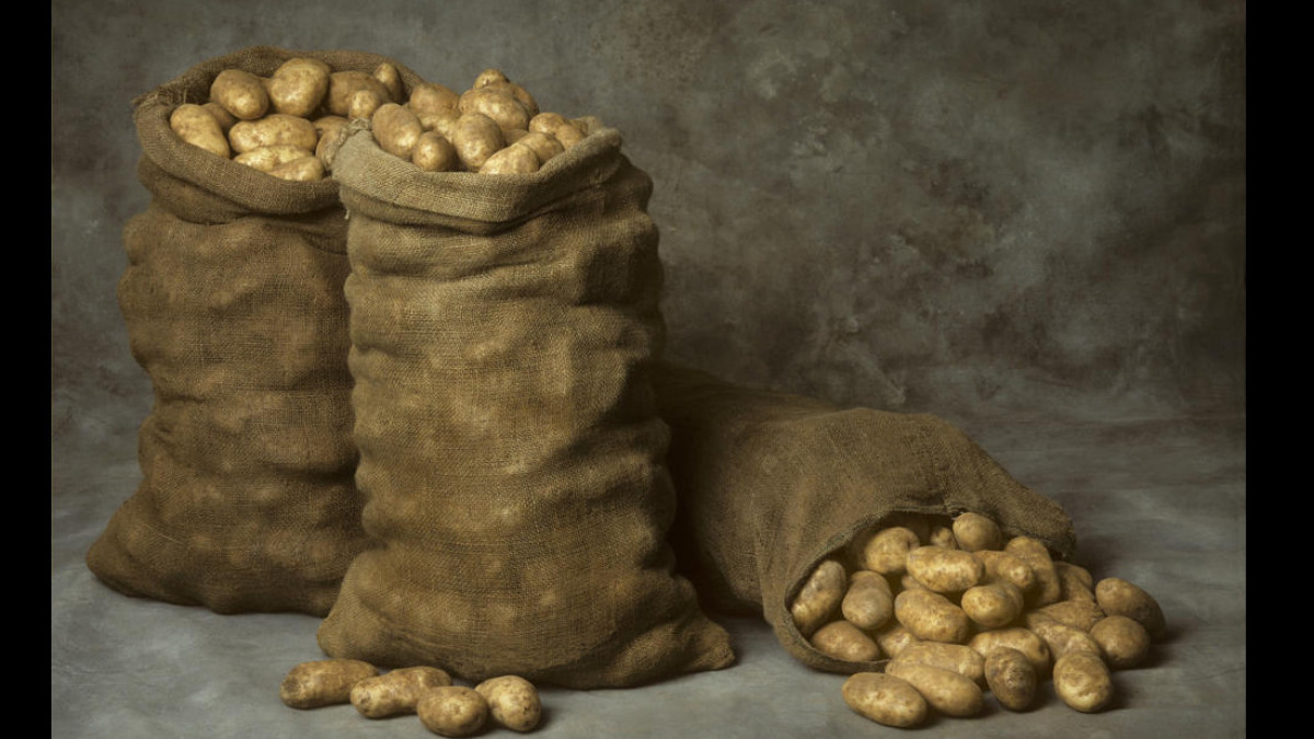 Из открытых источников