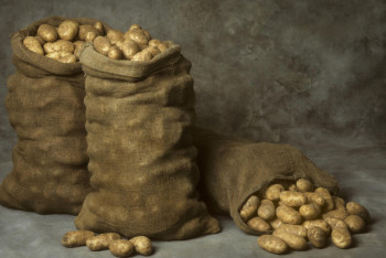 СПК в феврале откроют свои стабфонды продуктов питания