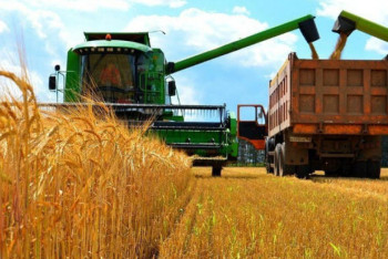 Фотография к новости: Женщины руководят каждым четвёртым сельхозпредприятием в Казахстане