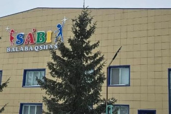 Фотография к новости: Шкаф упал на малышей в детсаду в Уральске