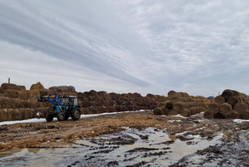Фотография к новости: Казахстанских фермеров лишают земли, но компенсации они не получат