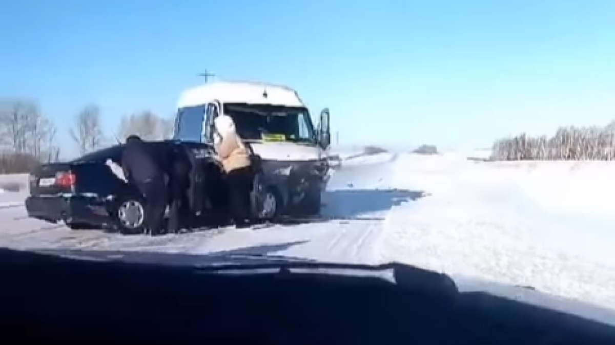 instagram.com/sinegor.kz