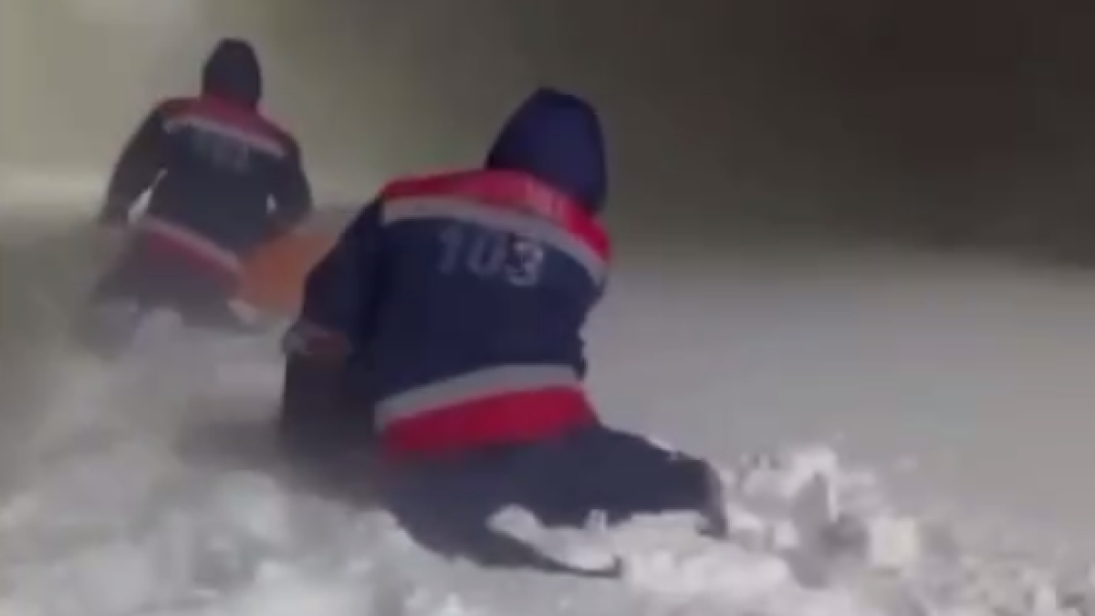 скриншот видео