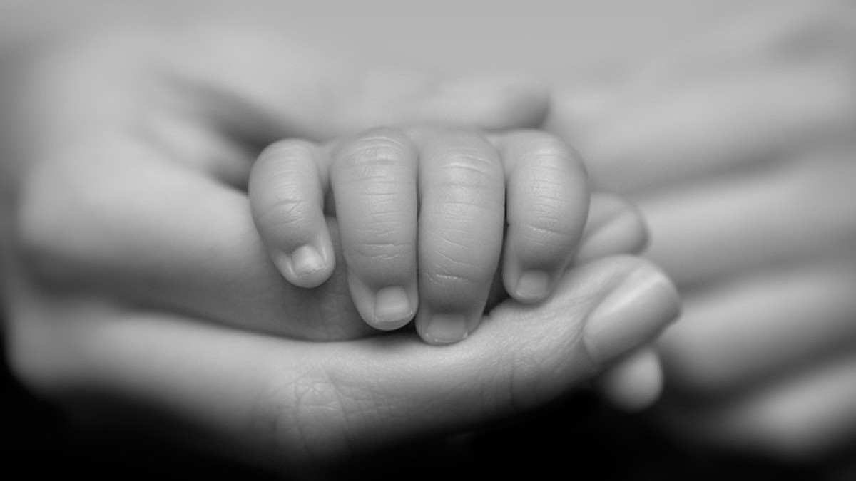 Двоих мёртвых детей обнаружили на съёмной квартире в Туркестане