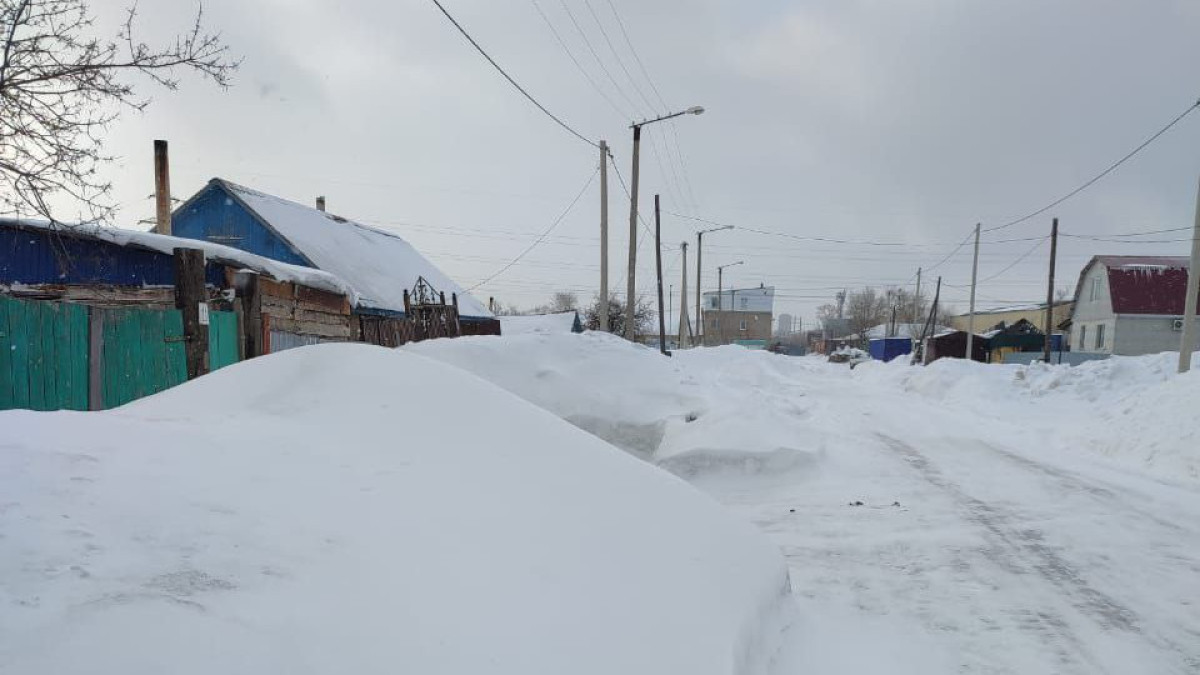 Наталья Волкова.