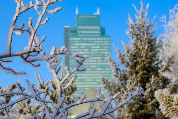 Рейтинг стран по уровню социального прогресса: Казахстан занял 63-е место