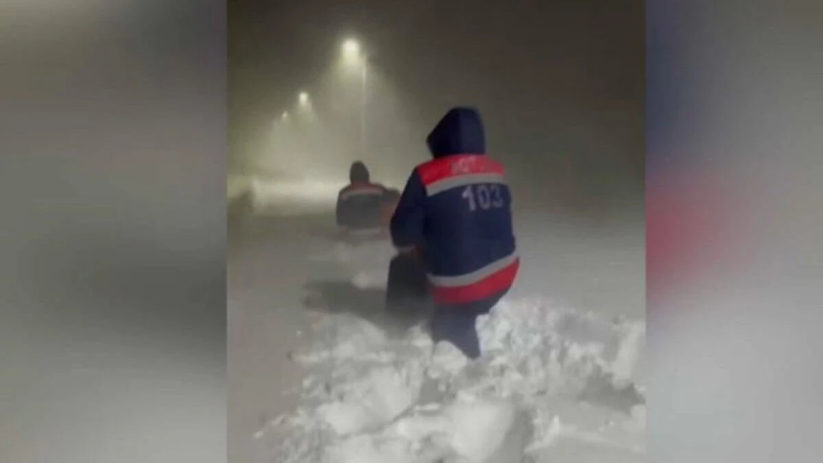 скриншот видео