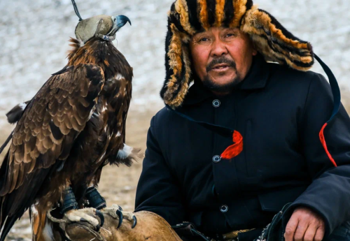 Фотография к новости: Чемпионат по охоте с ловчими птицами стартовал в ВКО