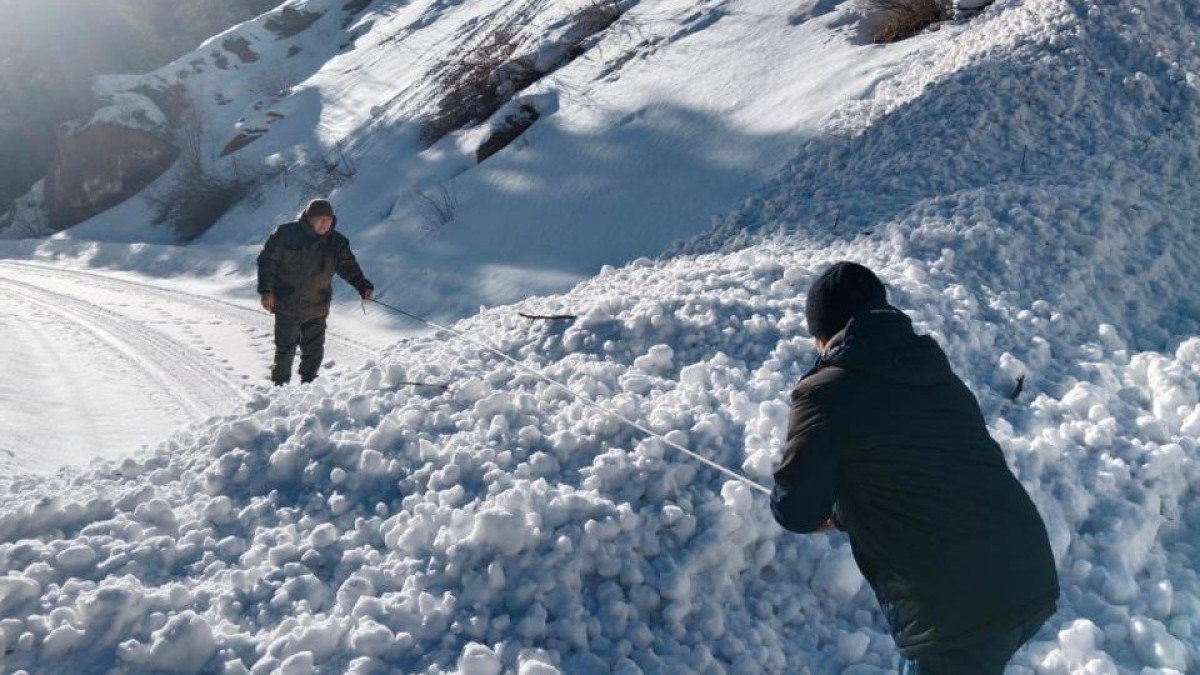 ДЧС Алматинской области