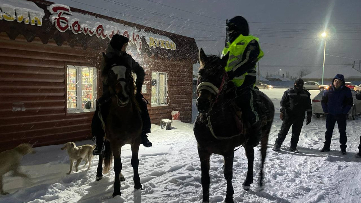 ДП области Абай