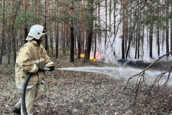 Фотография к новости: Как в Казахстане планируют предотвращать лесные пожары