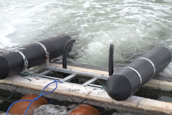 Фотография к новости: Рыбу от массового мора спасают в СКО