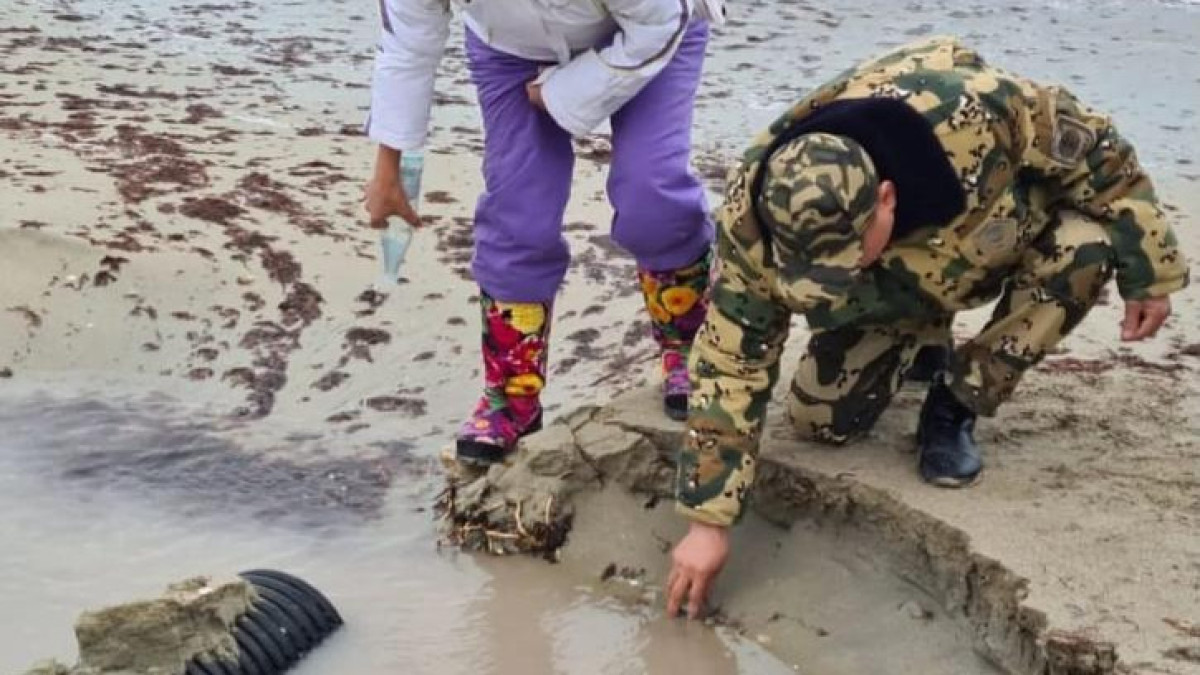 Минэкологии