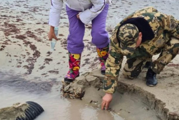 Фотография к новости: Rixos Aktau выставили штраф более 3 млн тенге