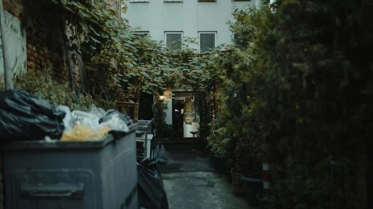 pexels.com / иллюстративное