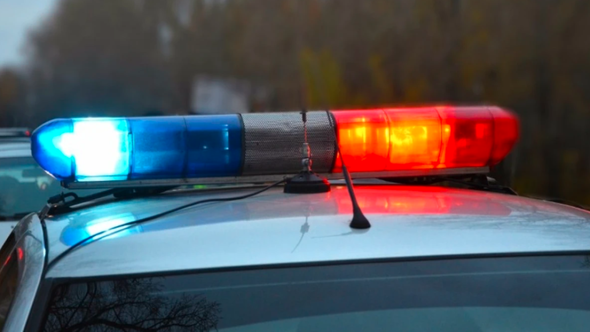 из открытых источников