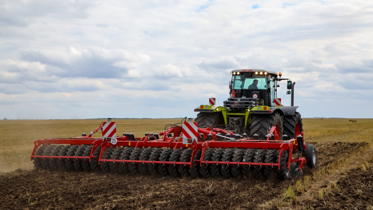 Казконтент