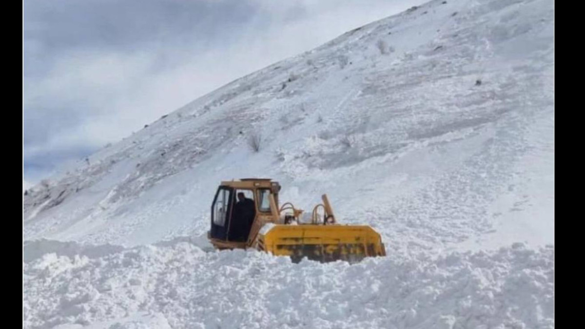 Снежная лавина сошла близ Алматы