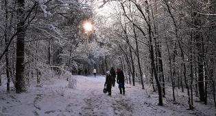 Школьники и учащиеся колледжей останутся дома 16 февраля в Астане