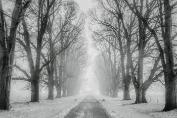 Фотография к новости: До 92 выросло количество закрытых дорог в Казахстане