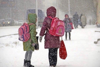 Столичных школьников перевели на дистанционку из-за морозов
