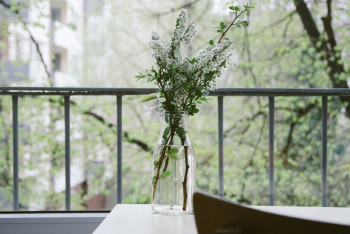 Фотография к новости: Какой будет весна в Казахстане, рассказали синоптики