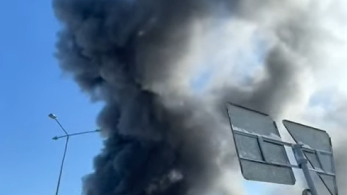 кадр из видео