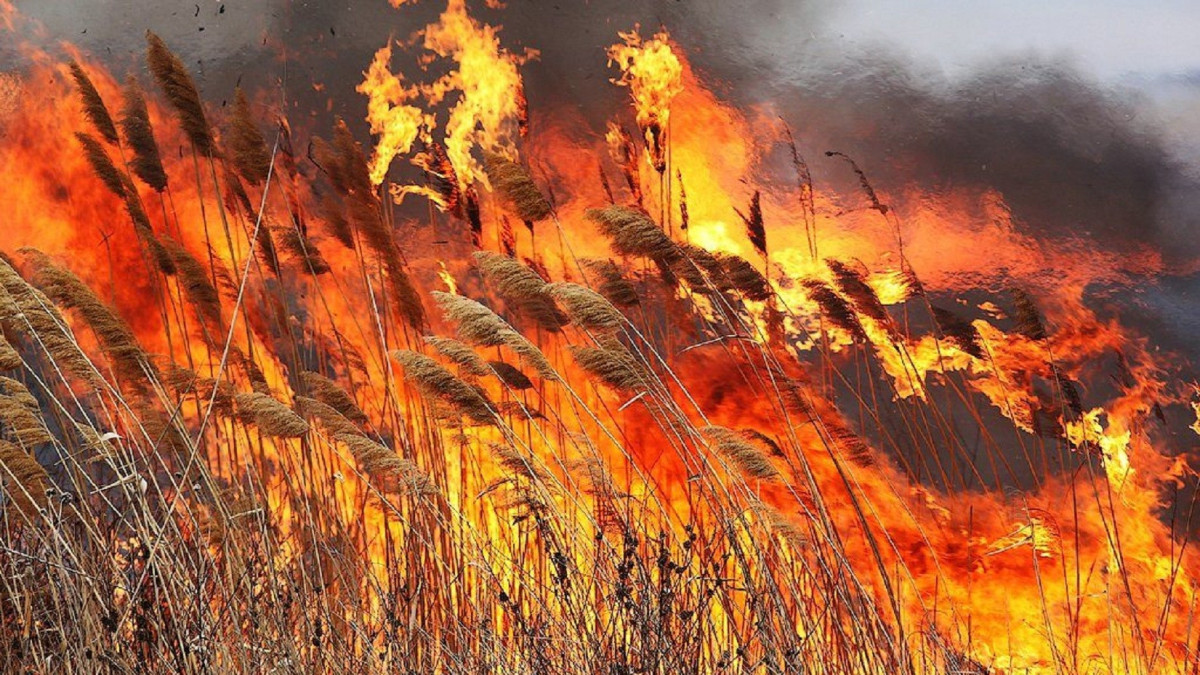 твойгород.com