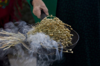 Россия внесла адраспан в список запрещенных