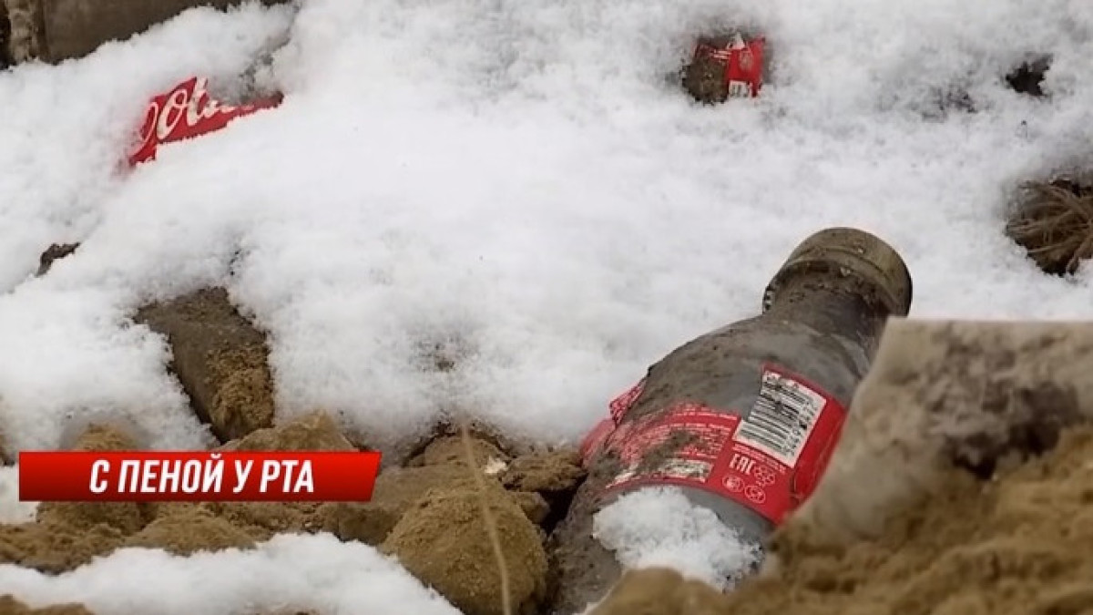 скриншот с видео КТК