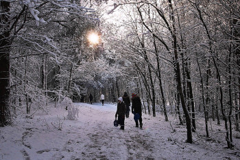 Фотография к новости: Часть школьников в Астане будет учиться из дома 23 февраля
