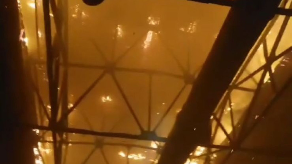 скрин видео