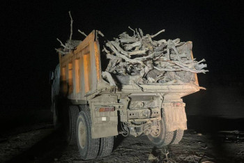 Фотография к новости: Краснокнижным саксаулом топил печь житель Жамбылской области